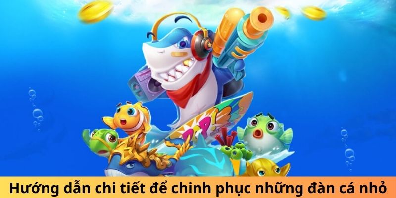 Hướng dẫn chi tiết để chinh phục những đàn cá nhỏ