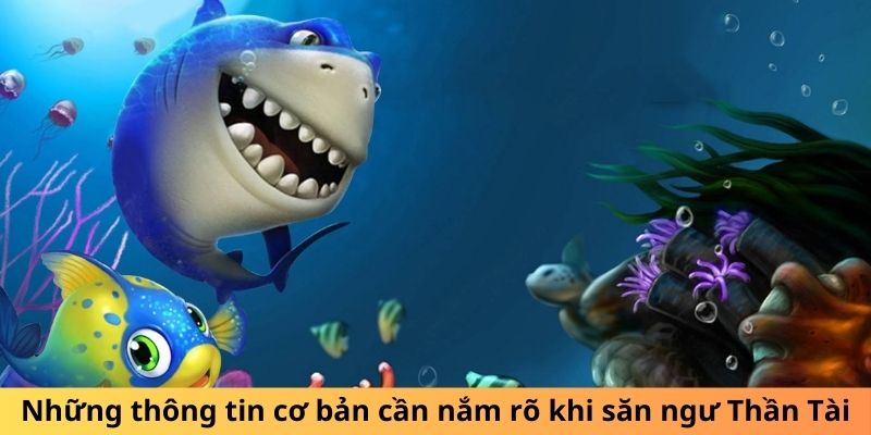 Những thông tin cơ bản cần nắm rõ khi săn ngư Thần Tài